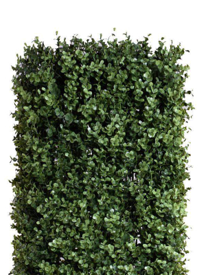 Outdoor Boxwood Column Topiary