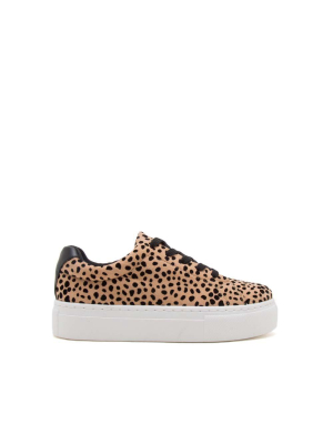 Royal-09a Tan Black Leopard Lace Up Sneakers