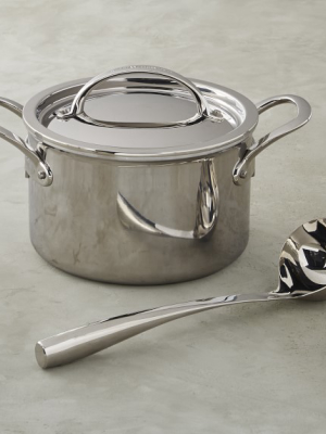 Williams Sonoma Signature Thermo-clad™ Stainless-steel 4-qt. Soup Pot & Stainless-steel Classic Ladle