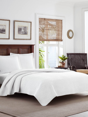 Solid Quilt & Sham Set White - Tommy Bahama