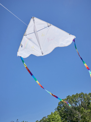 Delta Color-in Kite