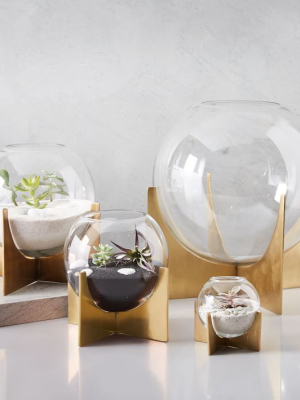 Metal + Glass Cross Base Terrariums - Antique Brass