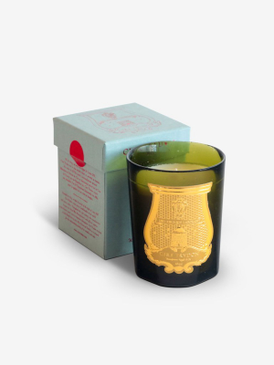 Abd El Kader (moroccan Mint Tea) Classic Candle