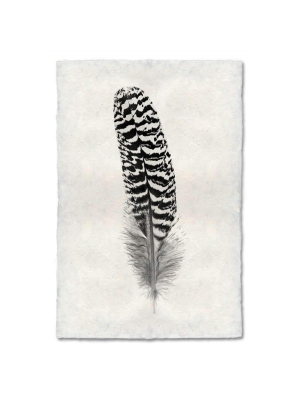 Feather Study #13 Print