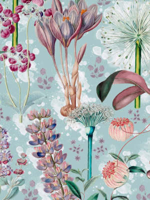 Garden Of Eden Wallpaper In Aquamarine From The Florilegium Collection By Mind The Gap