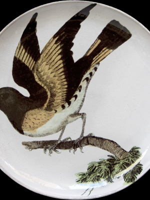 American Red Start (facing Left) Round Platter