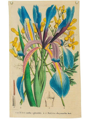 Iris Organic Cotton Wall Hanging