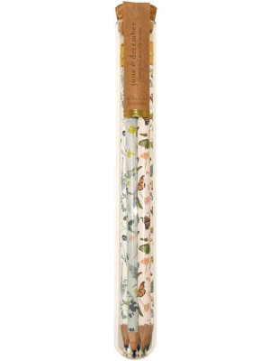 Fluttery Mix Pencil Terrarium Set