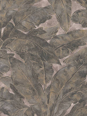 Meera Floral Wallpaper In Black, Beige, And Bronze By Bd Wall