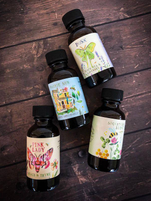 Daydream Collection: Simple Syrup Sampler