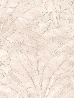 Meera Floral Wallpaper In Beige And Cream By Bd Wall