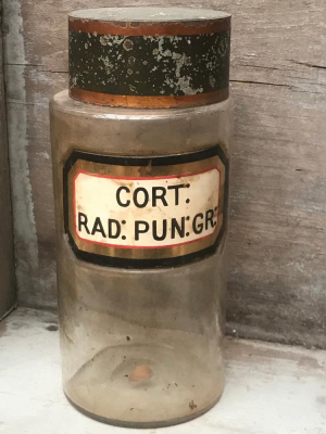 19th Century Apothecary Jar - Cort: Rad: Pun: Gr: