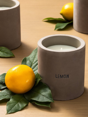 9.3oz Cement Candle Lemon - Hearth & Hand™ With Magnolia