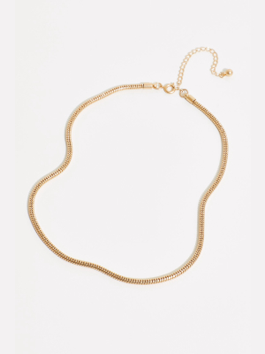 Delicate Chain Necklace