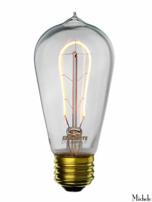 Led Antique Curved Filament E26 Base St19 Bulb