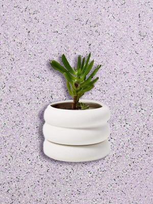 Areaware Mini Stacking Planter