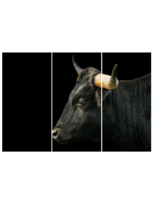 Blu Art Black Longhorn Sideview Triptych