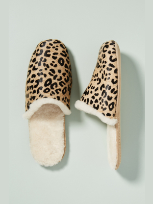 Freda Savador James Shearling-lined Slippers