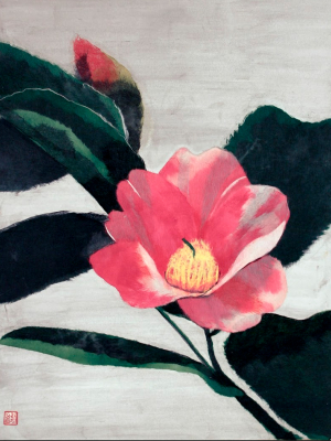 Camellia Tsubaki