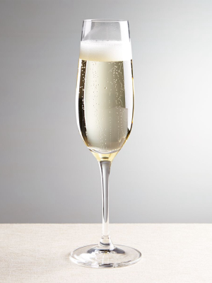 Viv Champagne Glass