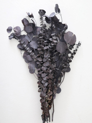 Preserved Black Purple Mixed Eucalyptus Bundle - 22-32"