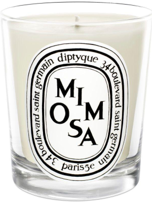 Mimosa Candle