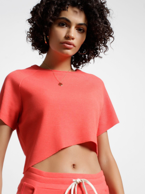 Everest Thermal Raglan Crop Top