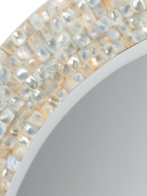 Jamie Young Large Oval Mirror In Mother Of Pearl