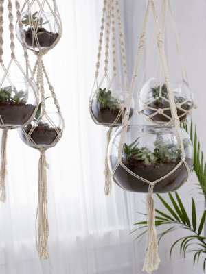 Hanging Macramé Terrarium - Set Of 5