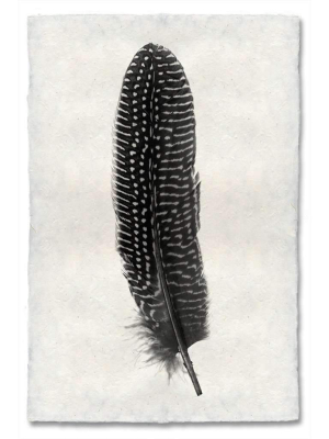 Feather Study #5 Print