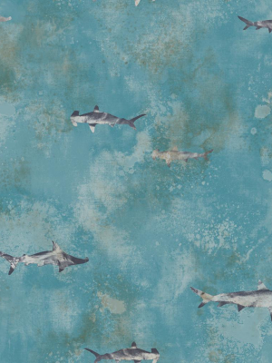 Sharks Wallpaper In Silver, Gunmetal, And Blue From The Aerial Collection By Mayflower Wallpaper