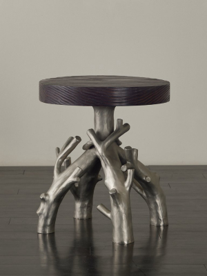 Bc Workshop Endangered Series Stool