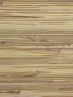 Grasscloth Wallpaper In Tan And Buttercream From The Winds Of The Asian Pacific Collection By Burke Decor