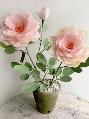 The Green Vase Potted Garden Rose