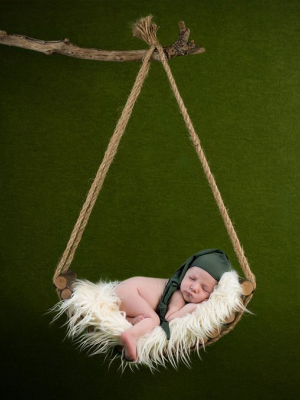 Curved Rustic Swing