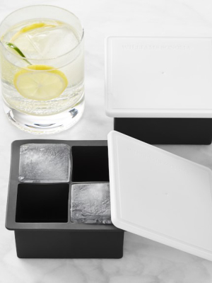 Williams Sonoma King Cube Tray With Lid, Set Of 2