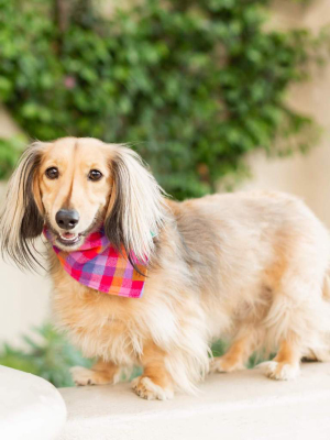 Sunset Flannel Dog Bandana