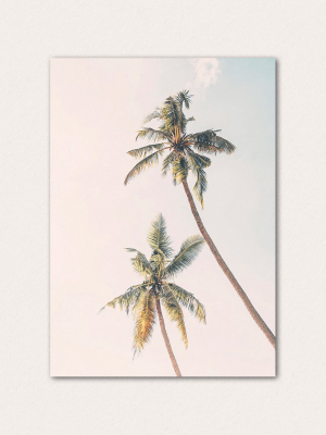 Tropical Trees In Blush