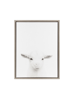 24" X 18" Baby Goat Framed Canvas Art Gray - Uniek