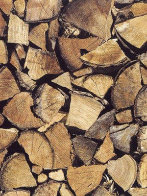 Firewood Self-adhesive Wood Grain Contact Wallpaper By Burke Decor