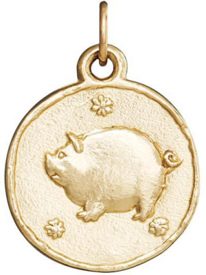 Pig Coin Charm