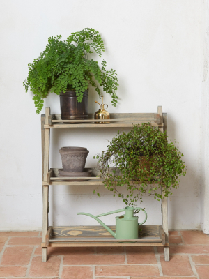 Spruce 3-shelf Plant Stand