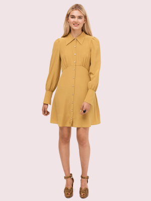 Silk Point Collar Shirtdress