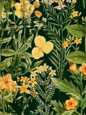 Mimulus Wallpaper In Green And Yellow From The Florilegium Collection By Mind The Gap