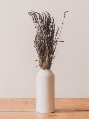 Lavender, Dried Bunch