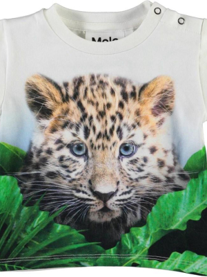 Molo Emilio T Shirt - Jungle Cub