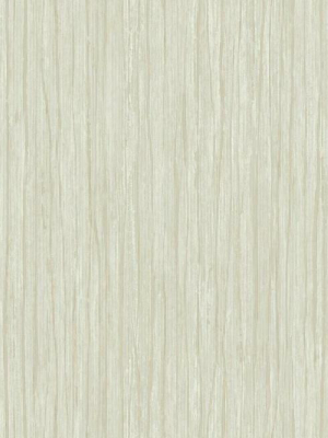 Temperate Veil Wallpaper In Dark Cream By Antonina Vella For York Wallcoverings