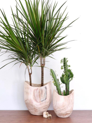 Paulownia Wooden Planters Set Of Two