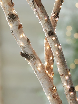 Twinkle Silver String Lights