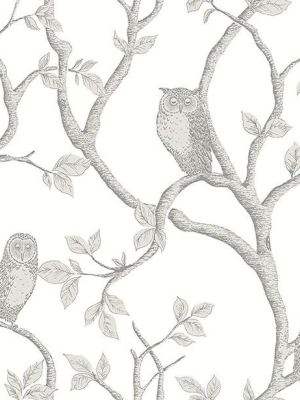 Enchanted Forest Grey Owl & Tree Wallpaper From The Essentials Collection By Brewster Home Fashions